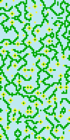 MoreFlowers