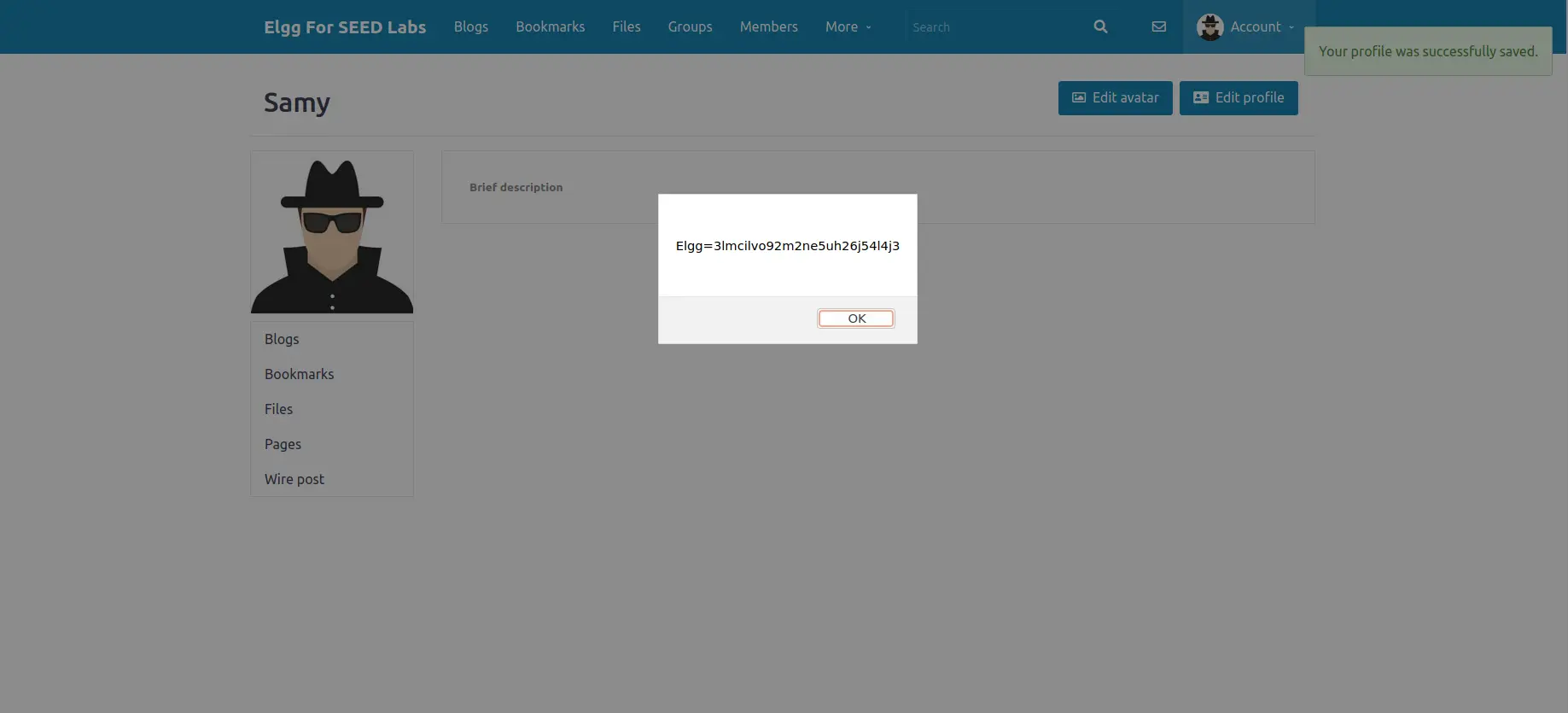 xss4